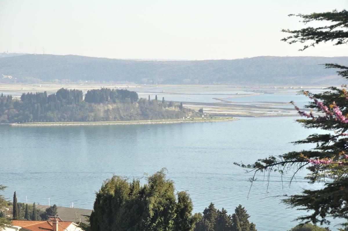 Bbp Apartment Portorož Dış mekan fotoğraf